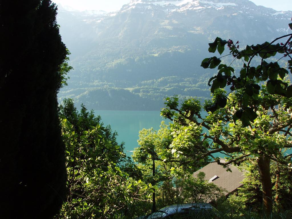 Ferienwohnung Selinda Niederried bei Interlaken Kültér fotó